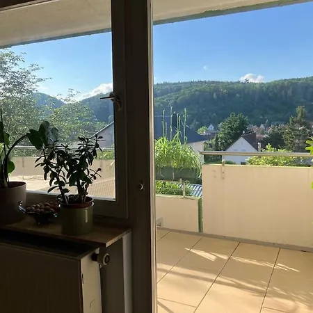 Grosszuegige Mit Flair Und Aussicht * Bad Bergzabern