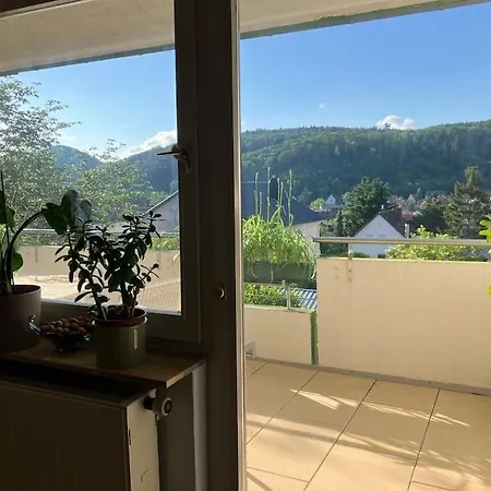Grosszuegige Mit Flair Und Aussicht * Bad Bergzabern