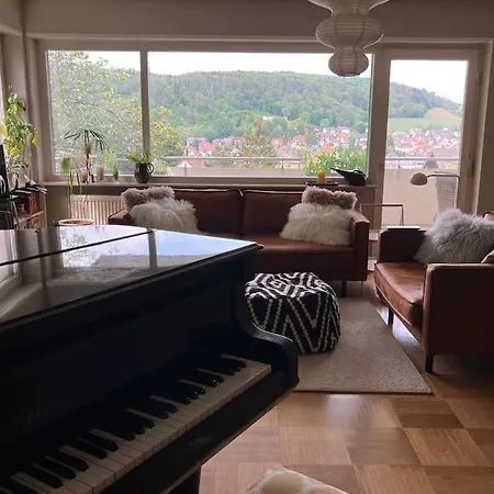 Grosszuegige Mit Flair Und Aussicht Appartement Bad Bergzabern