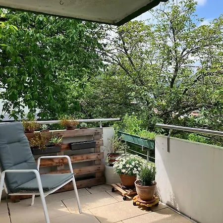 Apartment Grosszuegige Mit Flair Und Aussicht Bad Bergzabern