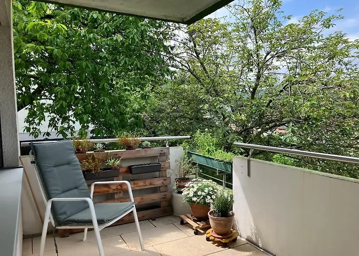 Apartamento Grosszuegige Mit Flair Und Aussicht Bad Bergzabern